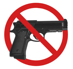 lautenberg amendment gun ban