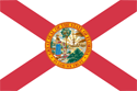 Florida Criminal Record Clearing